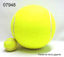 Imagen de PELOTA DE TENIS GIGANTE 2.26
